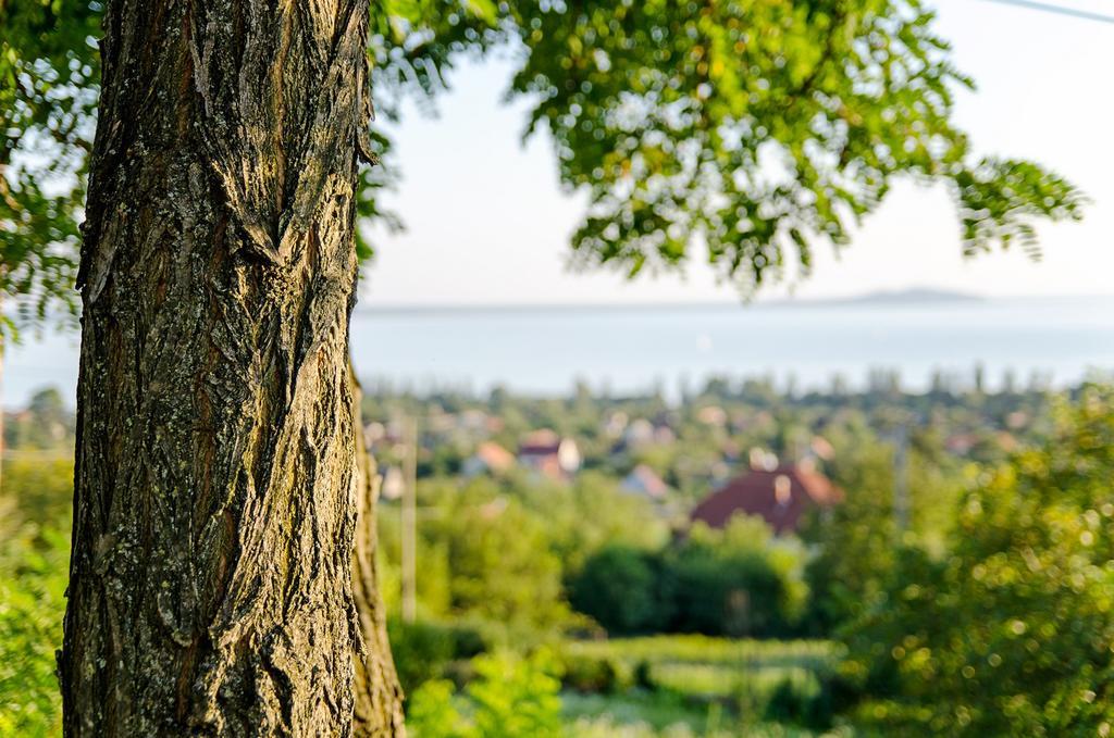 Hillside Apartments Révfülöp Εξωτερικό φωτογραφία